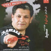 بی تو از سعید خوانساری